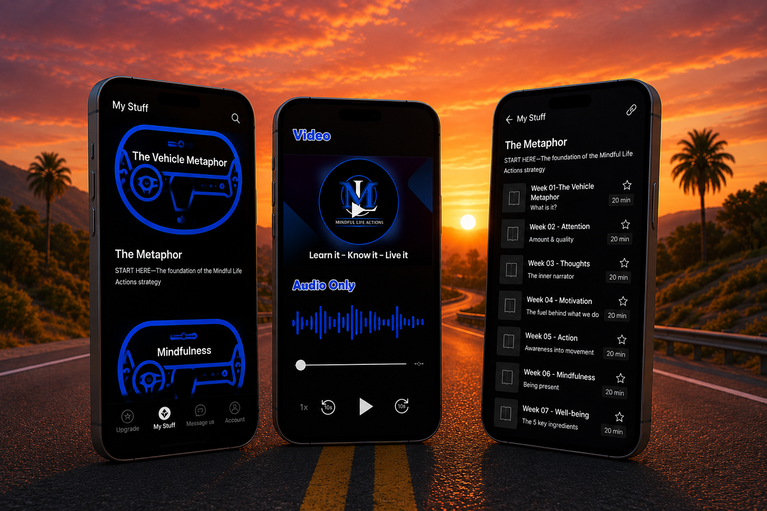 Mindful Life Actions app screens